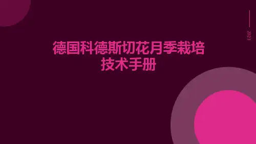 德国科德斯切花月季栽培技术手册