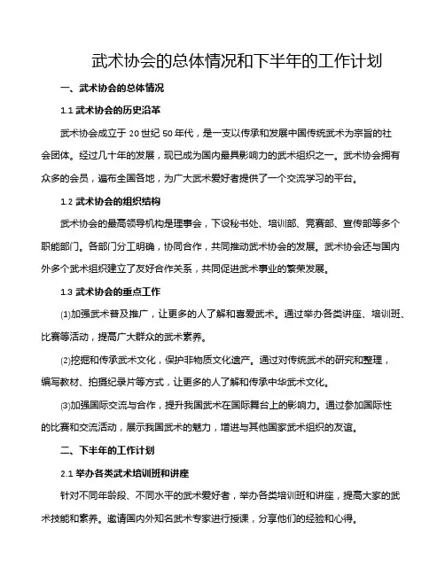 武术协会的总体情况和下半年的工作计划
