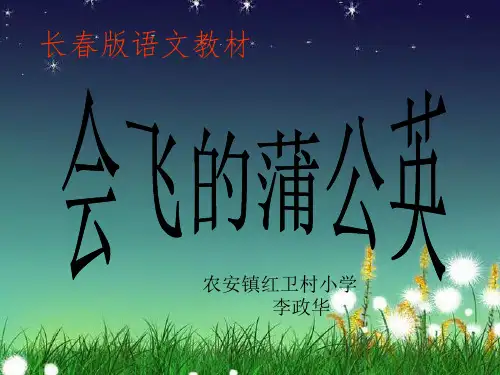 《会飞的蒲公英》ppt.