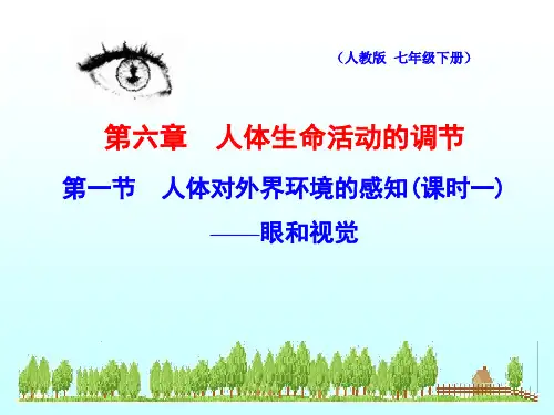 初中生物_人体对外界环境的感知(课时一)——眼与视觉教学课件设计