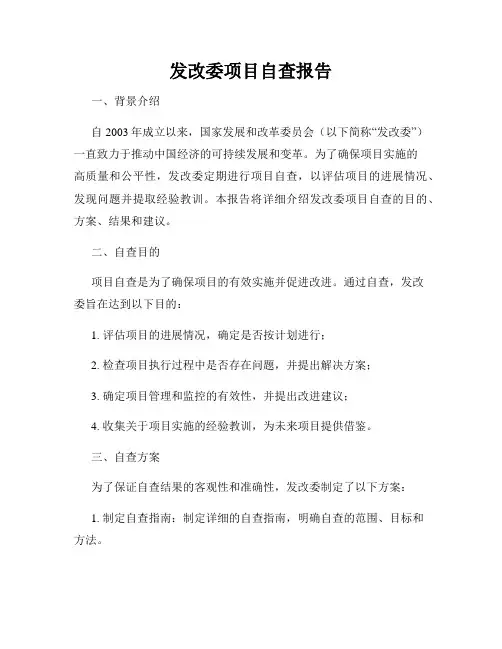 发改委项目自查报告
