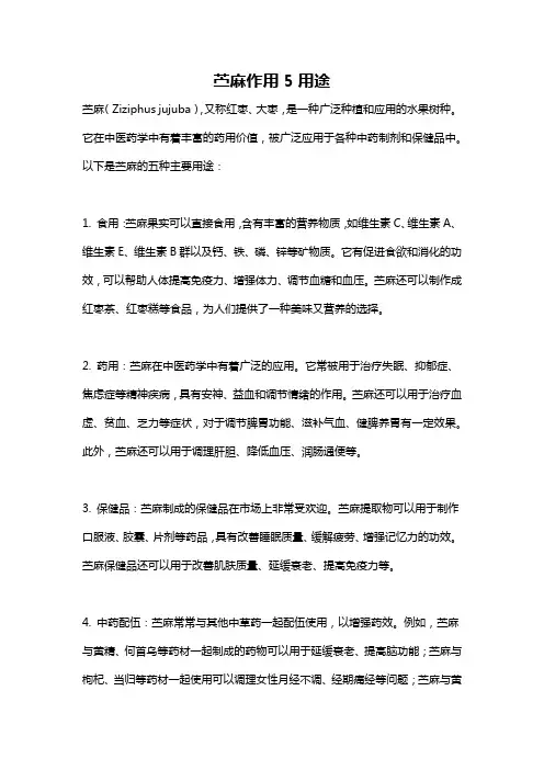苎麻作用5用途