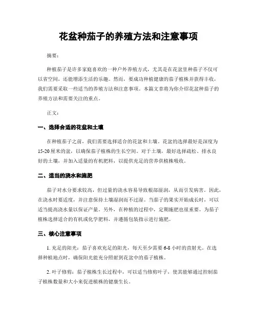 花盆种茄子的养殖方法和注意事项
