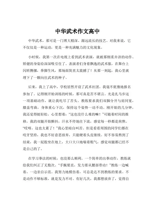 中华武术作文高中