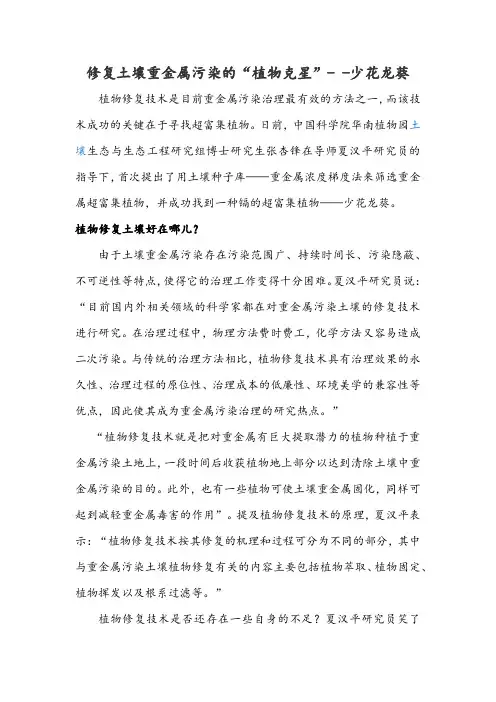 修复土壤重金属污染的“植物克星”- -少花龙葵