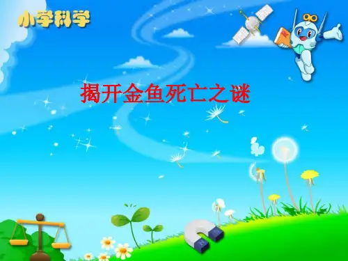 小学六年级科学下册《揭开金鱼死亡之谜》教学课件