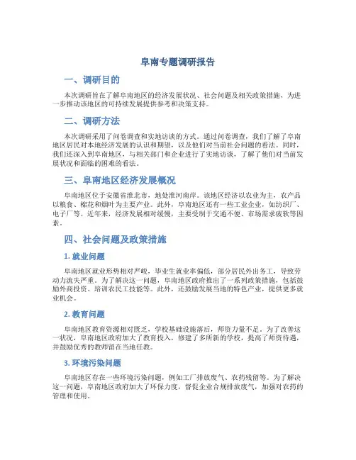阜南专题调研报告