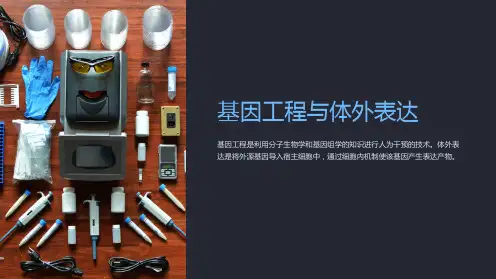 基因工程与体外表达