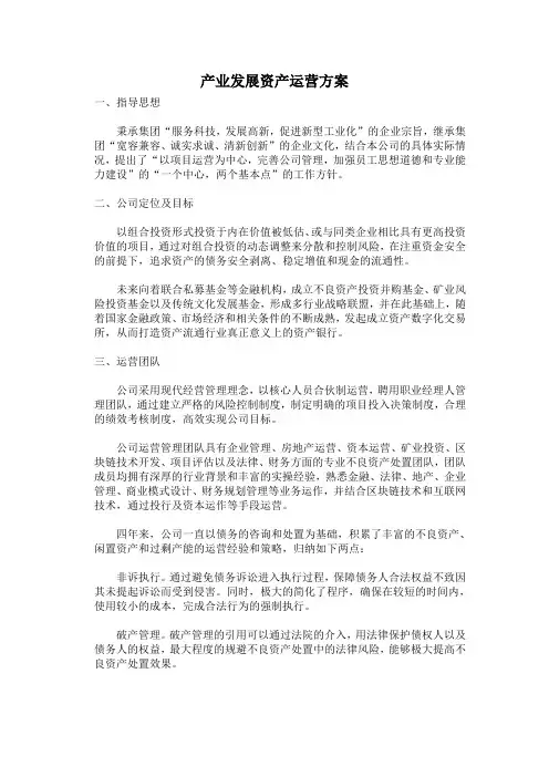 产业发展资产运营方案