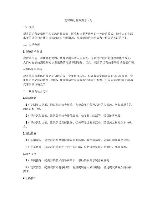 观赏鸽运营方案怎么写