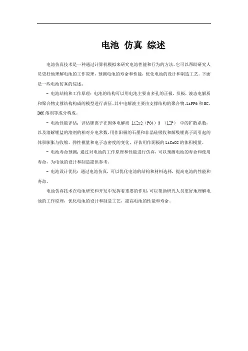 电池 仿真 综述