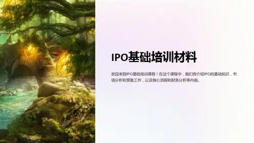 《IPO基础培训材料》课件