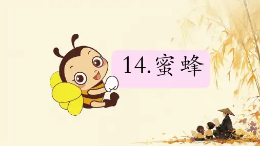 蜜蜂课件(共20张PPT)