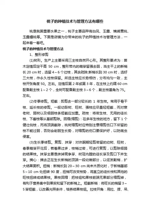 桃子的种植技术与管理方法有哪些