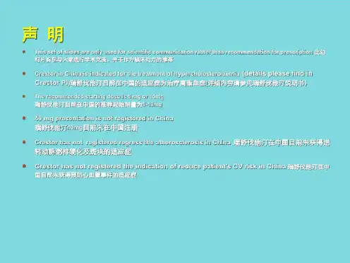 斑块研究进展描述(共41张PPT)