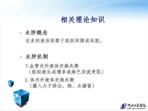 家兔试验性肺水肿