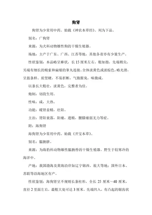 狗肾的药用价值