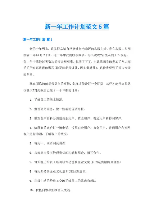 新一年工作计划范文5篇