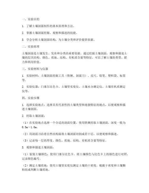 土壤剖面制作实验报告
