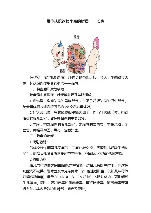 带你认识连接生命的桥梁——胎盘