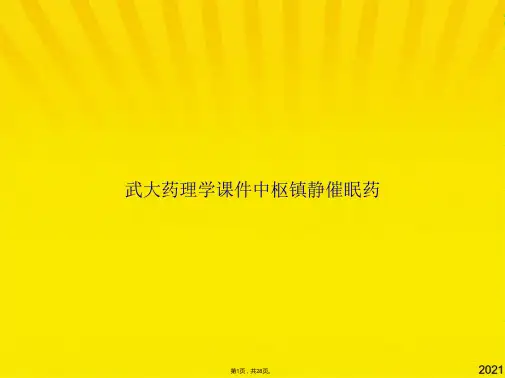 武大药理学课件中枢镇静催眠药(共28张PPT)