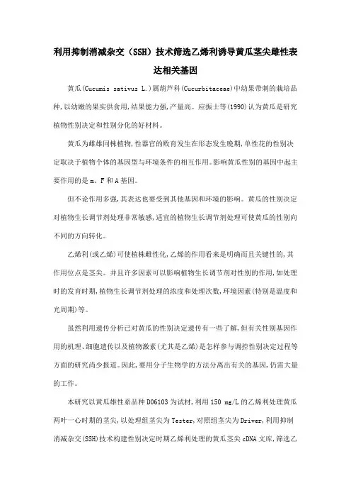 利用抑制消减杂交(SSH)技术筛选乙烯利诱导黄瓜茎尖雌性表达相关基因