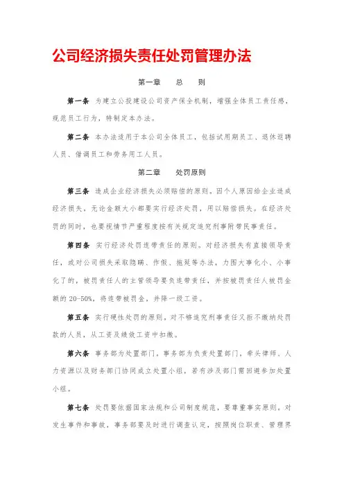 公司经济损失责任处罚管理办法