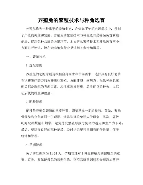 养殖兔的繁殖技术与种兔选育