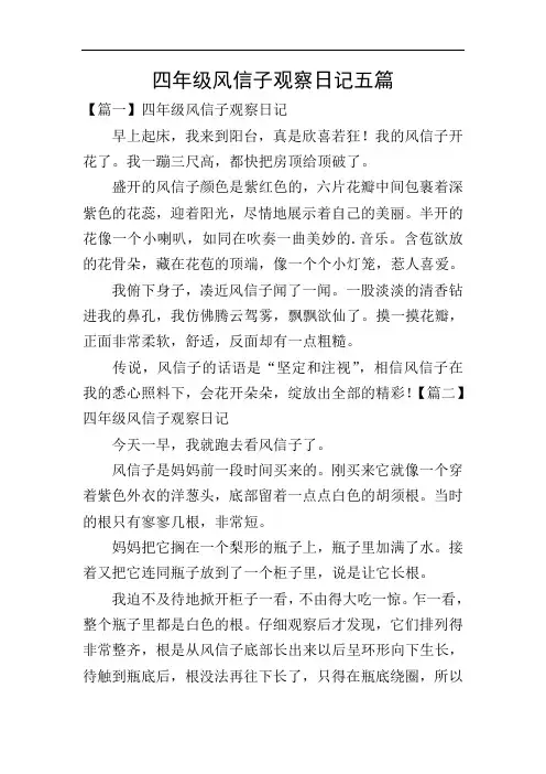 四年级风信子观察日记五篇