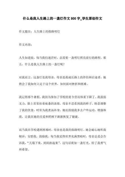 什么是我人生路上的一盏灯作文800字学生原创作文
