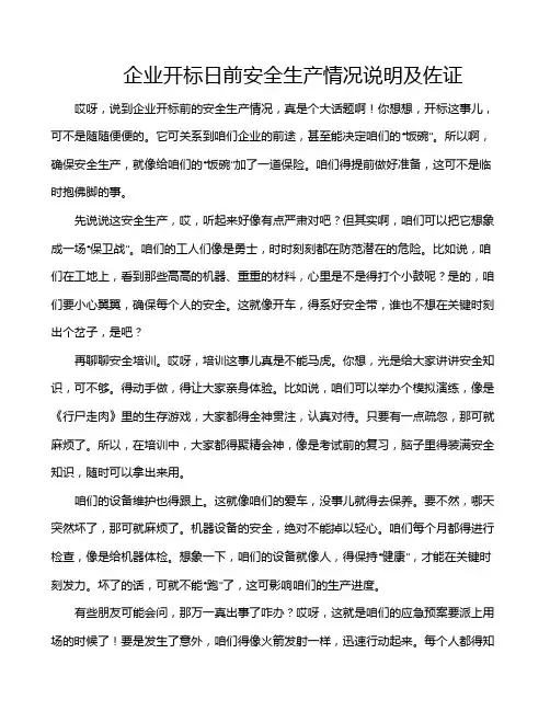 企业开标日前安全生产情况说明及佐证