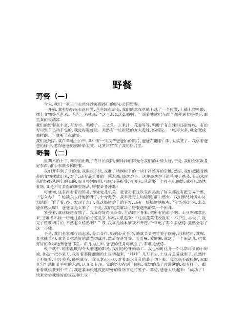 野餐作文共九篇