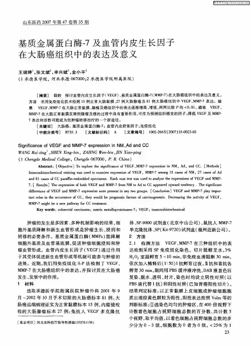 基质金属蛋白酶-7及血管内皮生长因子在大肠癌组织中的表达及意义