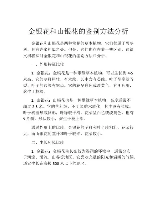 金银花和山银花的鉴别方法分析