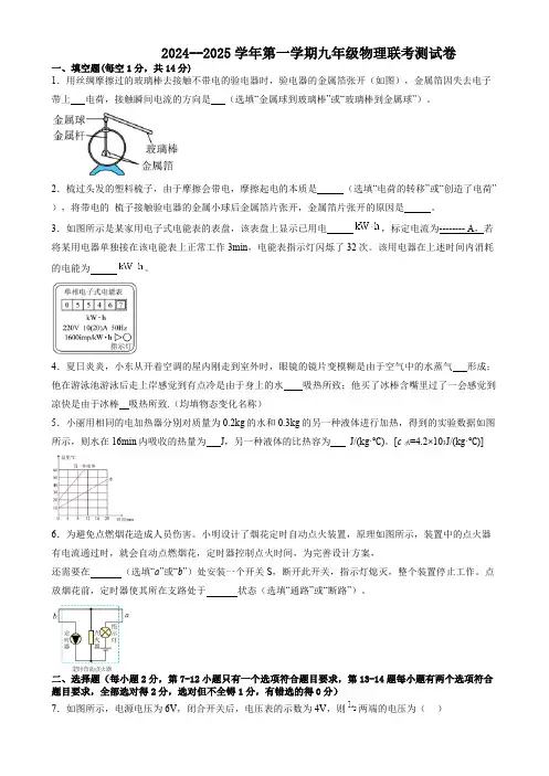 河南省南阳市桐柏县晨中、育英两校联考2024-2025学年九年级上学期12月月考物理试题