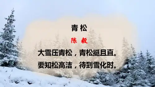 第2课《梅岭三章》课件(共30张ppt)++2022-2023学年统编版语文九年级下册