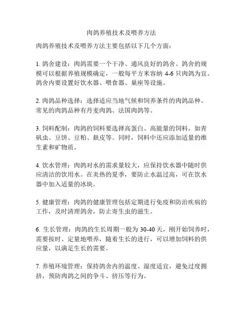 肉鸽养殖技术及喂养方法