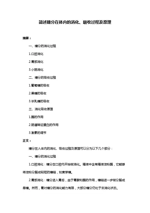 简述糖分在体内的消化、吸收过程及原理