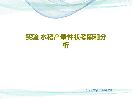 实验 水稻产量性状考察和分析28页PPT