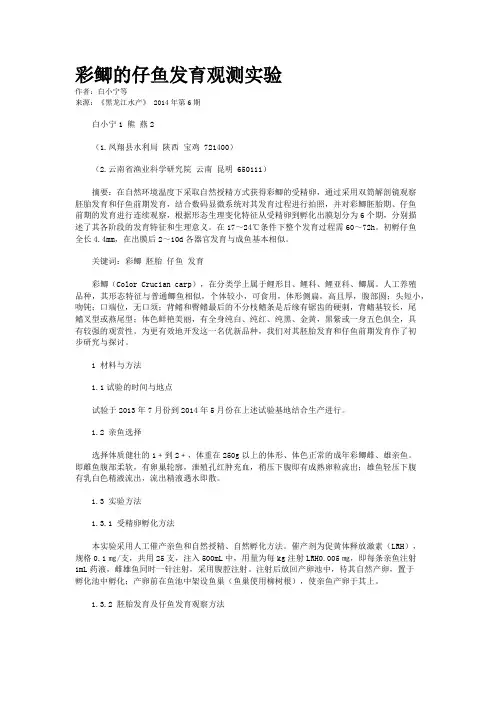 彩鲫的仔鱼发育观测实验