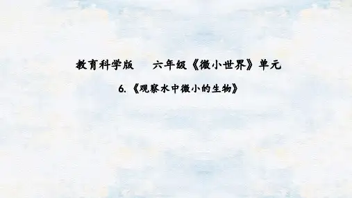 教科版六年级科学上册第一单元观察水中微小的生物课件