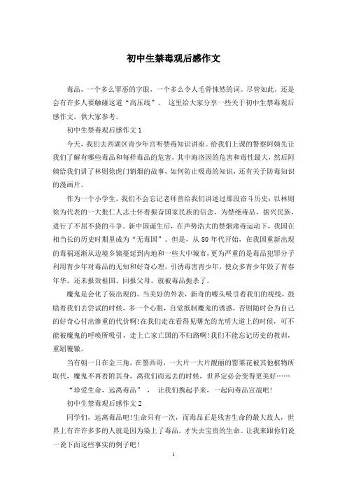 初中生禁毒观后感作文