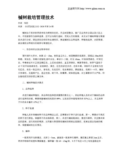 槭树栽培管理技术