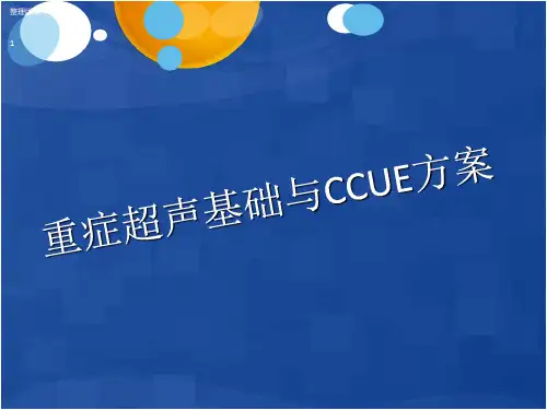 重症超声基础PPT课件