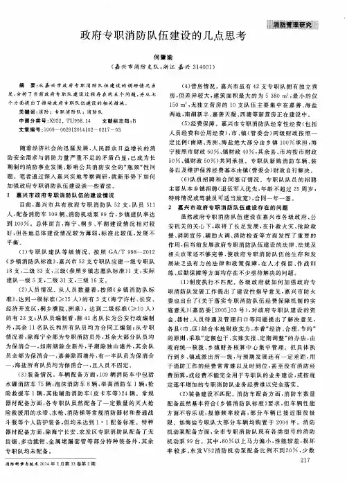 政府专职消防队伍建设的几点思考
