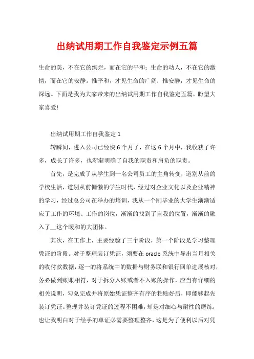 出纳试用期工作自我鉴定示例五篇