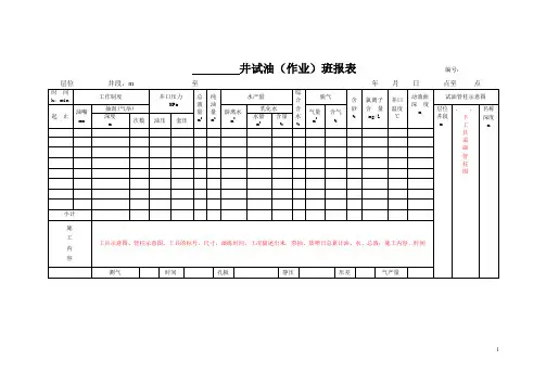 (油田)井试油(作业)班报表+井油 水现场分析记录