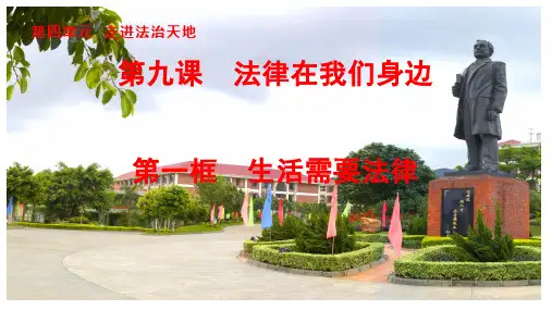 人教版道德与法治七年级下册生活需要法律PPT精品课件