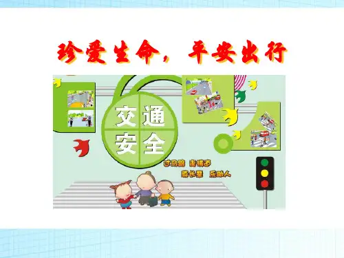 《珍爱生命,平安出行》PPT(完美版)