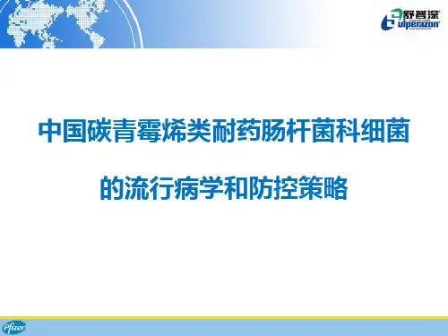 中国碳青霉烯类耐药肠杆菌科细菌的流行病学和防控策略